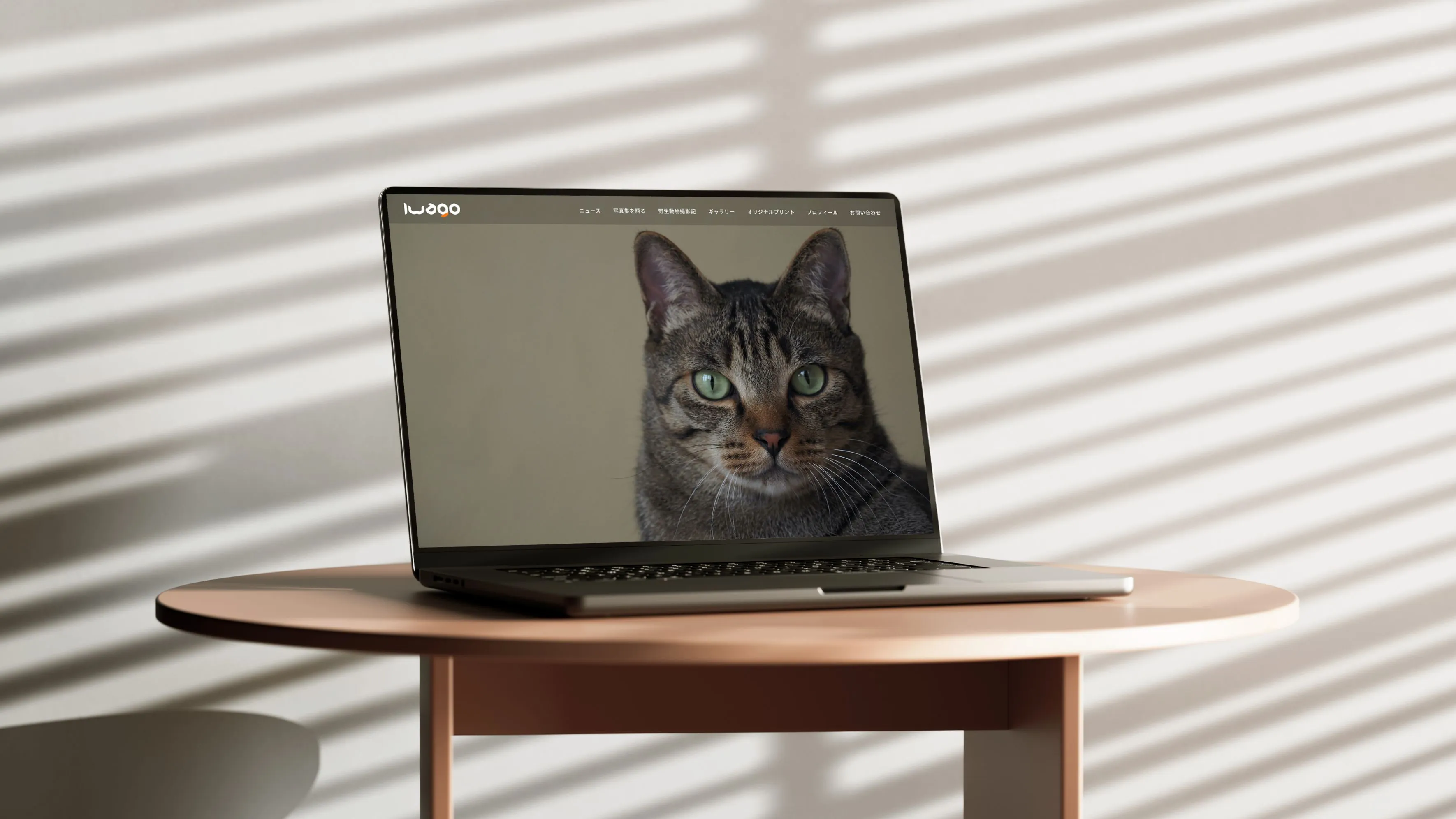 動物写真家 岩合光昭 オフィシャルサイト