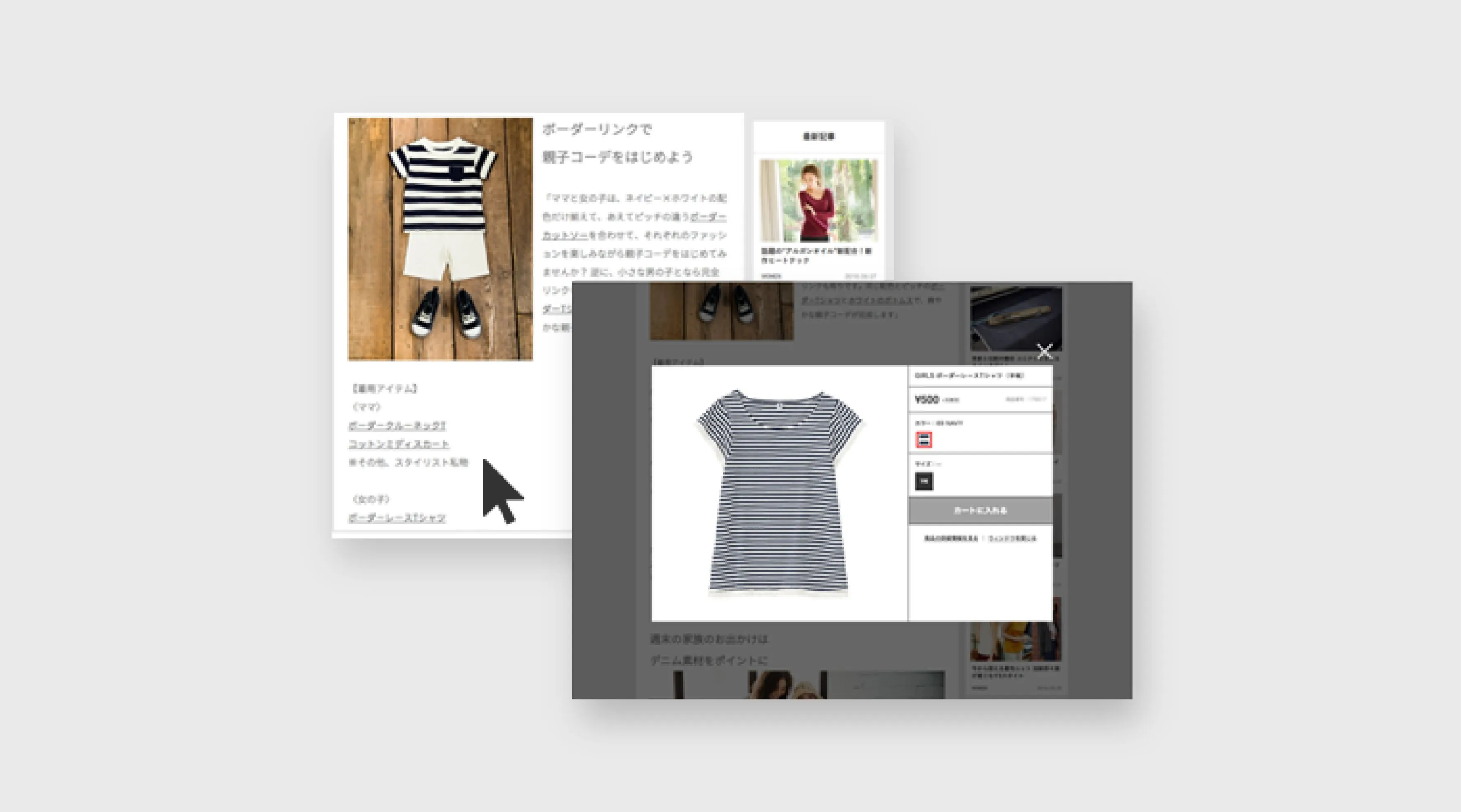 カート入力画面イメージ