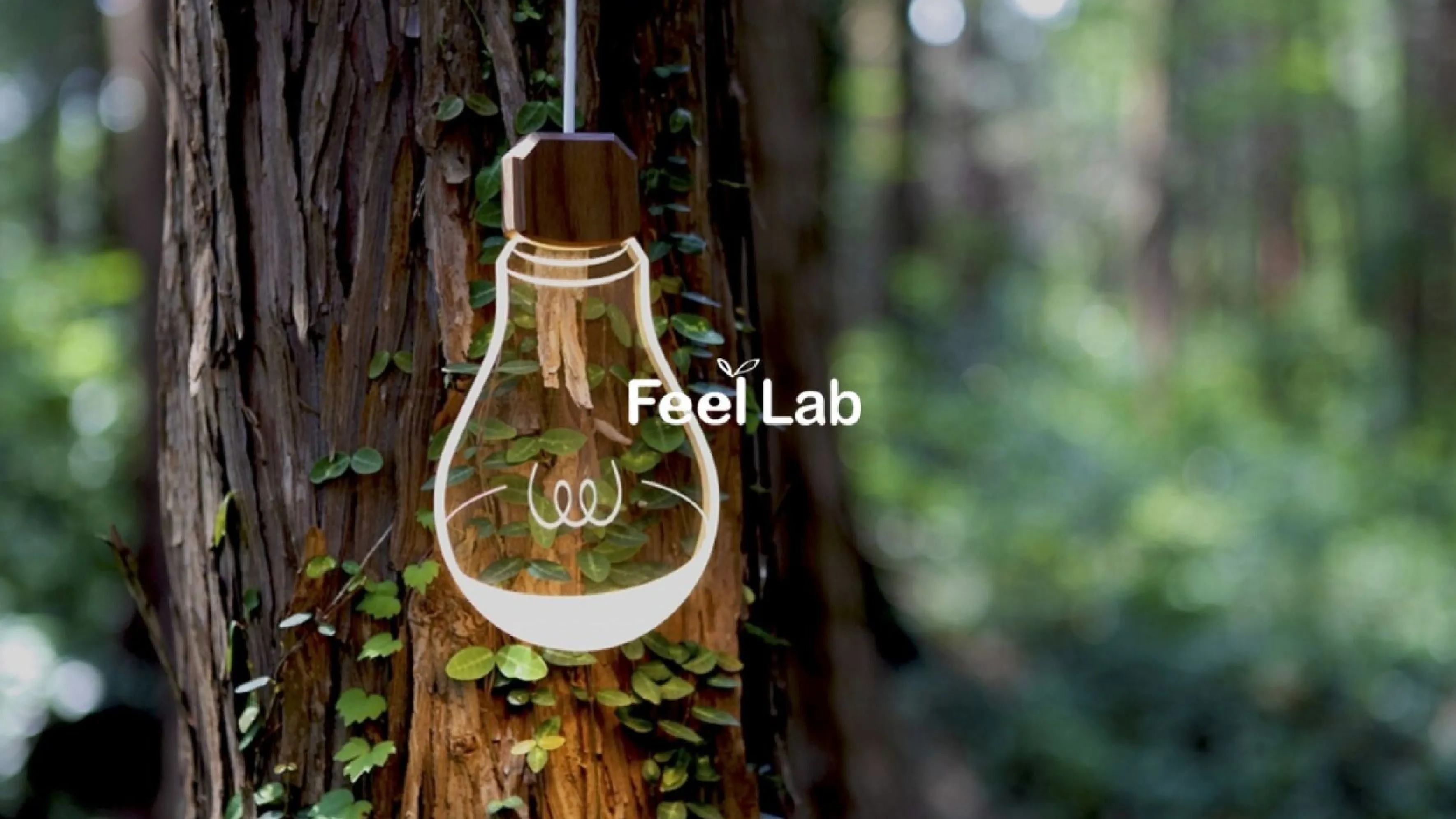  「FeelLab」ブランドサイト